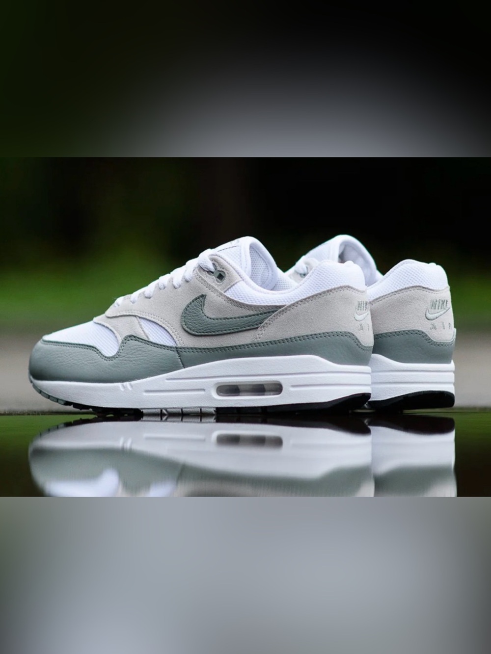 Nike Air Max 1